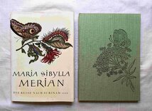 マリア・シビラ・メーリアン 植物画・昆虫画・蝶画 図譜 洋書 Maria Sibylla Merian Die Reise nach Surinam 1699 スリナム産昆虫変態図譜_画像1