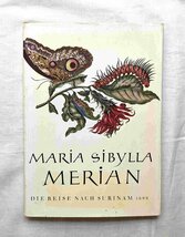 マリア・シビラ・メーリアン 植物画・昆虫画・蝶画 図譜 洋書 Maria Sibylla Merian Die Reise nach Surinam 1699 スリナム産昆虫変態図譜_画像4