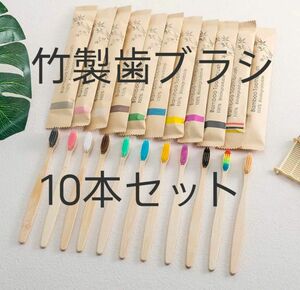 [新品]Rost 天然 竹製 歯ブラシ ナチュラル 抗菌 10本セット 