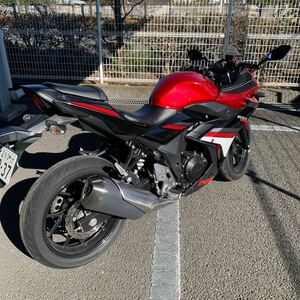 SUZUKI GSX250R 走行約10000キロ 使用に伴う小傷のみの極上車 オイル交換済み 前後タイヤはバトラックスで交換後300キロ走行したのみ。