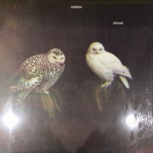 【HMV渋谷】DUNGEN/HXAN(STS285LP)