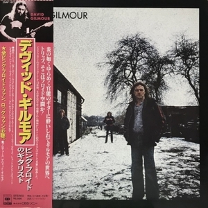 【新宿ALTA】DAVID GILMOUR/デヴィッド・ギルモア(25AP1077)