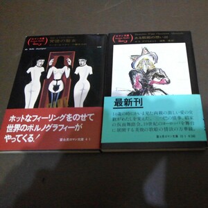 金子國義サイン入りロマン文庫二冊　どちらも鉛筆サイン入り　初版カバー帯付きです　刊行案内つき　