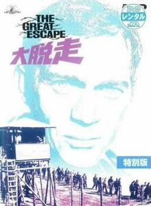 大脱走 レンタル落ち 中古 DVD ケース無