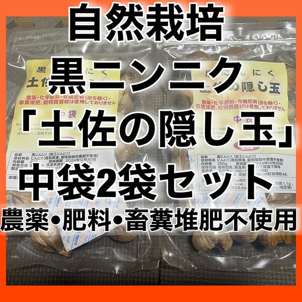 自然栽培　黒にんにく「土佐の隠し玉」中袋２袋セット　農薬肥料畜糞堆肥不使用