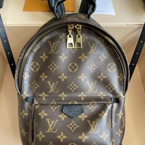 Louis Vuitton パームスプリングス PM モノグラム リュック