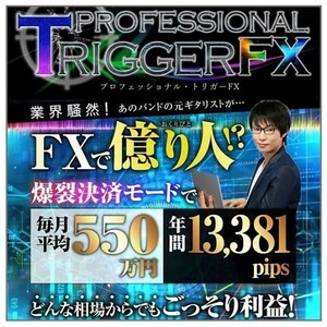 〈限定特典ツール付き〉最新版ver2.1 プロフェッショナルトリガーFX + 専用自動決済EA付き + 本体ツール,各種動画×マニュアル,プロトリFX