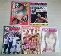 [W3489] プロレス雑誌いろいろセット [週刊プロレス][闘魂スペシャル][LADY’S リング][もっと！必殺技][THE 激闘連写分析]ほか_画像3