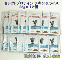 ロイヤルカナン セレクトプロテイン チキン＆ライスパウチ 85g×12 新品・全国一律送料無料_画像1