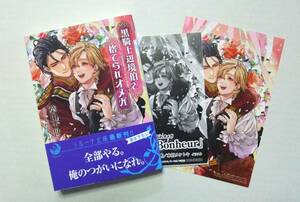 ◆送料込◆葉山千世「黒騎士辺境伯と拾われオメガ」＋ペーパー・カード