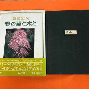 あ16-040 冨成忠夫 野の草と木と 山と渓谷社（染み有り、外箱汚れ染み有り）