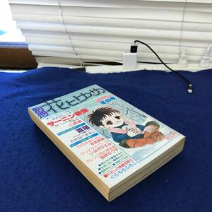 あ15-045 別冊花とゆめ 冬の号 昭和53年1月10日発行 白泉社 はみだしっ子 三原順 サーニン特集