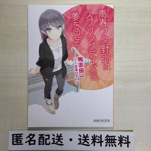 劇場版 青ブタ 青春ブタ野郎はランドセルガールの夢を見ない 1週目入場者特典　書き下ろし小説 青春ブタ野郎はスプリングデイズの夢を見る