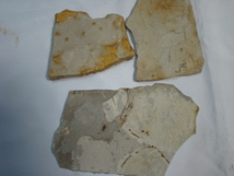 激安！狼鰭魚（Lycoptera）リコプテラ魚化石ジュラ紀白亜紀中国遼寧省3枚一括_画像6