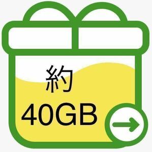 【約40GB】mineo マイネオ パケットギフト