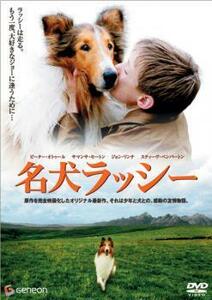 名犬ラッシー レンタル落ち 中古 DVD