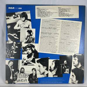 UK盤 LP Ducks Deluxe DON'T MIND ROCKIN' TONITE  PL 25132の画像2