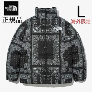 THE NORTH FACE ノースフェイス Lサイズ 海外限定 ペイズリー柄 バンダナ柄 総柄 刺繍 メンズ レディース ダウンジャケット ダウンコート L