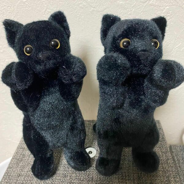 たっちぃzoo にゃんこ mini ネコ ぬいぐるみ 黒猫 2点セット