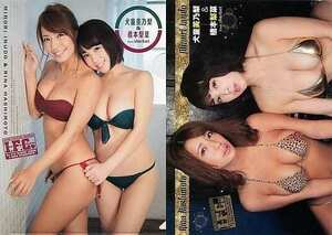 犬童美乃梨＆橋本梨菜 B5クリアファイル ヤングチャンピオン烈 2017年No.3号付録 I.F.C.No.243