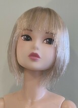 CCS momoko ペットワークス momokodoll.n 本体のみ_画像1