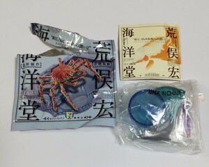  postage 120 jpy ~ band u dolphin new .no island aquarium to ..2 Kaiyodo bottle cap figure collection inspection ) not for sale Capsule Q chocolate egg 