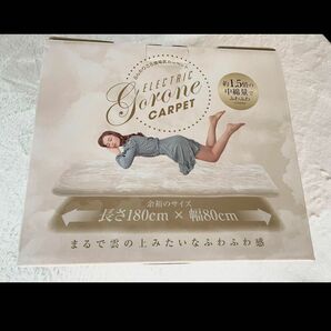 新品未使用★YAMAZEN★山善ふんわりごろ寝 電気カーペット★キナリ色