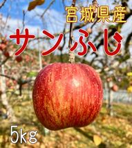 ①宮城県産 サンふじ 5kg 蜜入り 葉とらずりんご お歳暮 贈答用 家庭用_画像5