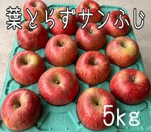 ①宮城県産 サンふじ 5kg 蜜入り 葉とらずりんご お歳暮 贈答用 家庭用_画像1