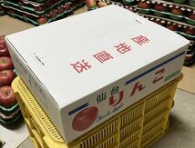 ①-2宮城県産 サンふじ 5kg 蜜入り 葉とらずりんご お歳暮 贈答用 家庭用_画像4