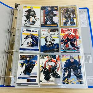 2N34802 summarize ice hockey card 