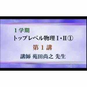 【冬休みセール！】トップレベル物理 苑田 2010