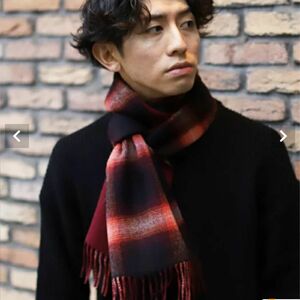 BEAMS MEN オンブレチェックマフラー