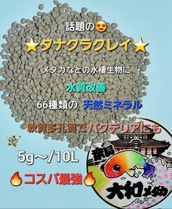 ◎大和メダカ◎話題の【タナクラクレイ】500g　６６種類の天然ミネラル　水質改善　多孔質でバクテリアに　送料無料！秋冬の越冬にも