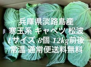 兵庫県 淡路島産 松波 キャベツ L 8個 12kg前後 常温 通常便送料無料