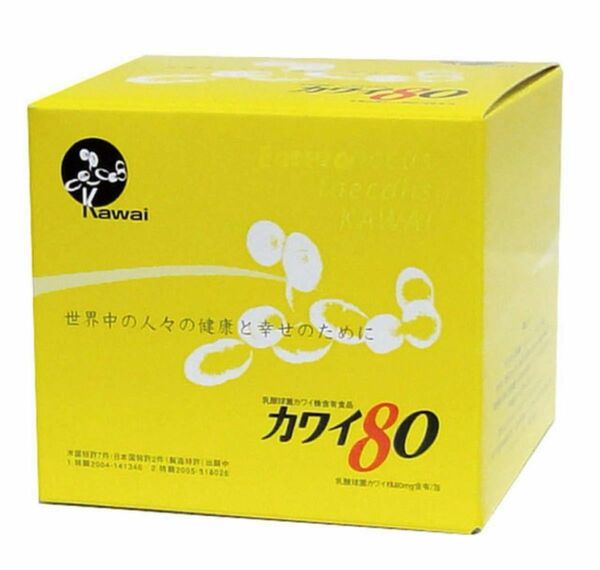 土日も発送対応！カワイ80 乳酸球菌カワイ株 100包入り 乳酸菌 河合乳酸球菌研究所　乳酸球菌　カワイ 腸活