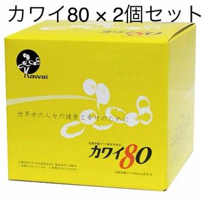 土日も発送対応！カワイ80 ×2箱 乳酸球菌カワイ株 100包入り 乳酸菌 腸活 カワイ乳酸菌