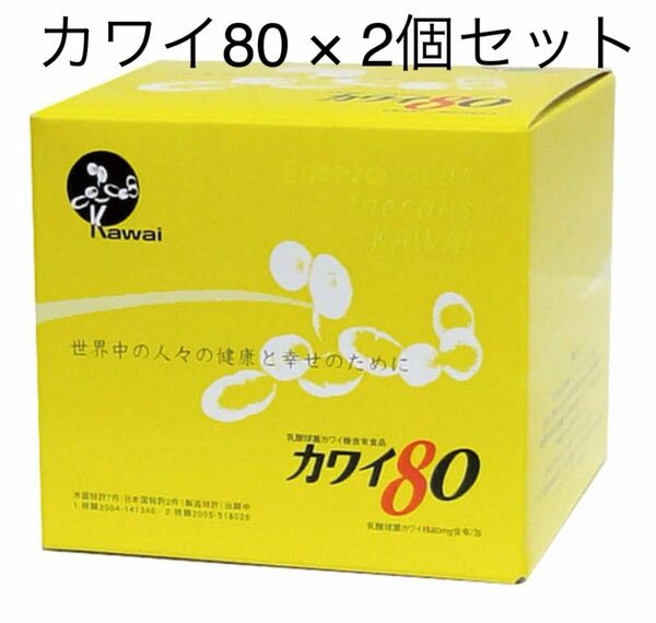 土日も発送対応！カワイ80 ×2箱 乳酸球菌カワイ株 100包入り 乳酸菌 腸活 カワイ乳酸菌