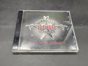 In The Midst Of Beauty / Michael Schenker Group