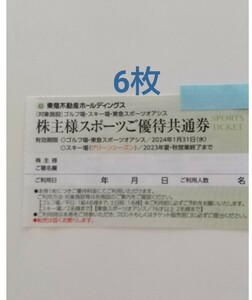 1/31まで 6枚セット 東急スポーツオアシス ゴルフ場 スキー場(グリーンシーズン) スポーツご優待共通券 東急不動産 株主優待 2024年1月31日