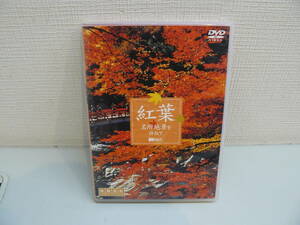 28645B●DVD　紅葉　名所絶景を訪ねて　映像遺産