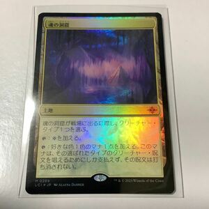 MTG 魂の洞窟 FOIL イクサラン 失われし洞窟 日本語