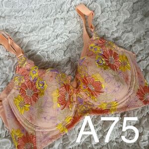  unused maru ko correction underwear mon Mali esheliru bouquet pink bra A75