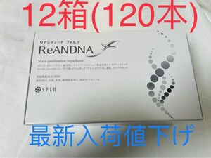 セプテムSPTMリアンディーナ12箱(120本)肌にハリを与えるコラーゲン