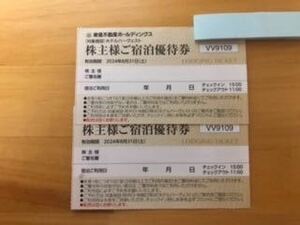 東急不動産ホールディングス 株主優待券 ホテルハーヴェスト株主様ご宿泊優待券×2枚【期限2024年8月31日】送料無料