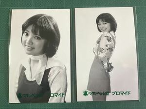 【レア】ミミ萩原　マルベル堂プロマイド写真2枚　膨らみ　昭和タレント
