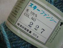 SKI YARN スキーファンシー 並太程度 毛100% 320g (50g×6玉) 水色系×ベージュ ミックス 毛糸 藤井 倉敷紡績_画像6