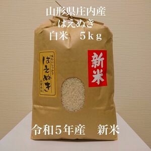 農家直送！令和５年産　はえぬき　山形県庄内産　白米５ｋｇ