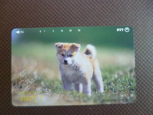 . dog bee .. .... telephone card unused 50 frequency 