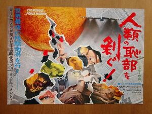 希少！映画 チラシ/プレス【 人類の恥部を剥ぐ！ 】1969年　 BB0034